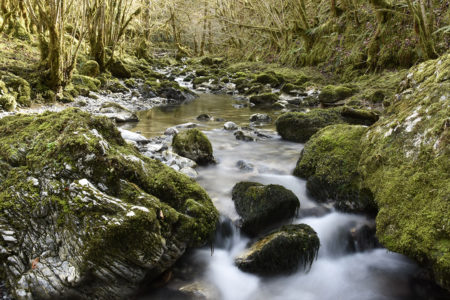 petite amazonie des pyrénées