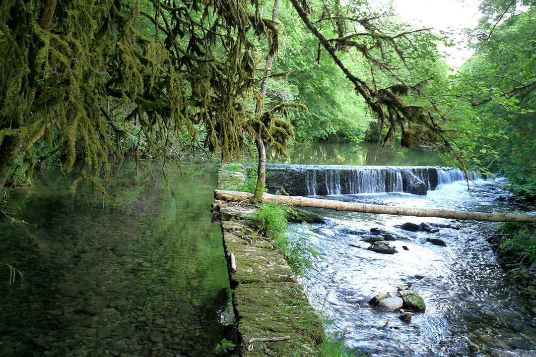 Arros Baronnies