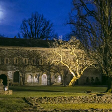 Abbaye de l'Escaladieu de nuit.