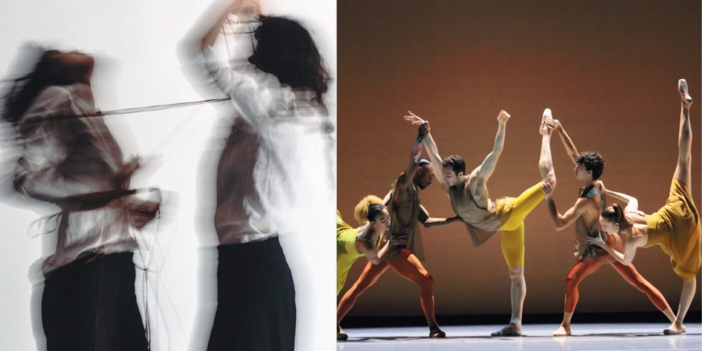 Photos navette culturelle janvier 2026